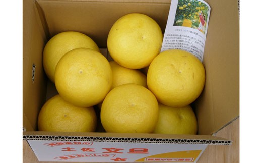 龍馬がゆく園芸の土佐文旦10kg 【家庭用A】