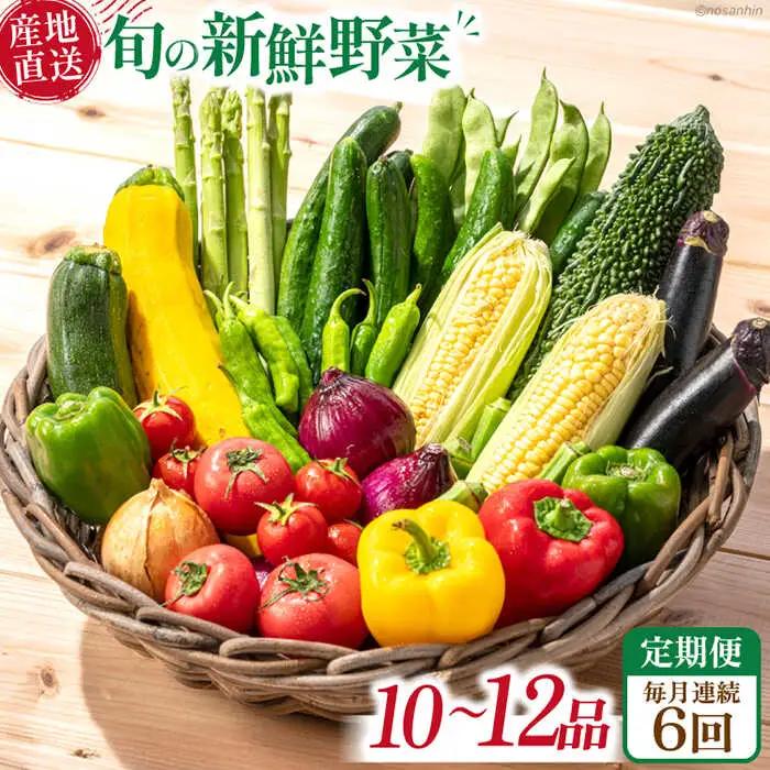 【6回定期便】毎月連続 旬の新鮮 野菜詰め合わせセット（10品-12品）/ 野菜 定期便 やさい 定期便 野菜セット やさいセット 春野菜 夏野菜 秋野菜 冬野菜 旬新鮮 / 南島原市 /長崎県農産品流通合同会社[SCB095]