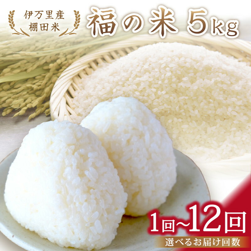 【ふるさと納税】令和7年産 特別栽培 伊万里産 棚田米「福の米」5kg ＜回数が選べる／1回・4回・6回・12回＞ 定期便