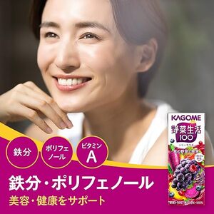 【 定期便 6ヶ月連続お届け 】 カゴメ 野菜生活100 ベリーサラダ 200ml×48本 ジュース 野菜 果実ミックスジュース 果汁飲料 紙パック 砂糖不使用 1食分の野菜 鉄分 ポリフェノール ビ