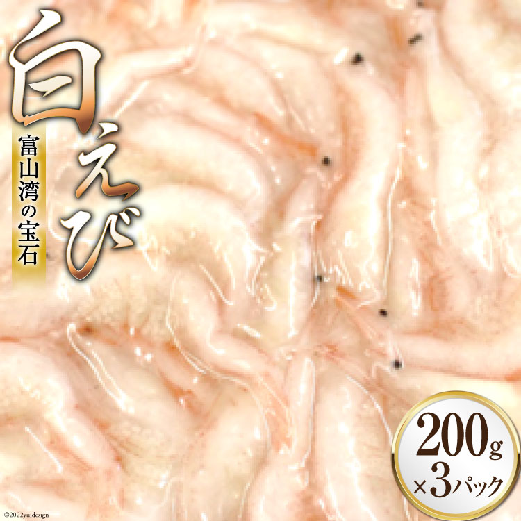 【ふるさと納税】えび 富山湾 名産 白えび 殻付き 200g×3パック 海老 エビ 冷凍 さしみ くろべの太陽 富山県 黒部市 刺身 魚 魚介類 　お届け：※寄附申込がお盆・連休前後の場合や寄附申込が集中した場合は、お届けまでお待たせすることがございます。