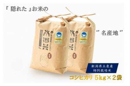 【令和6年度産新米】特別栽培米コシヒカリ「南郷米」玄米10kg（5kg×2袋） 有限会社ファームみなみの郷