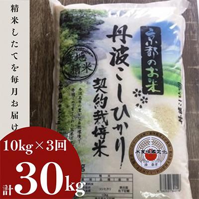 ふるさと納税 亀岡市 【毎月定期便】京都丹波産 お米 コシヒカリ 精米 10kg 米定期便 3ヶ月 全3回