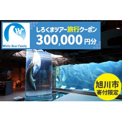 【旭川市】しろくまツアーで利用可能なWEB旅行クーポン (300,000円分)_05222【1660762】