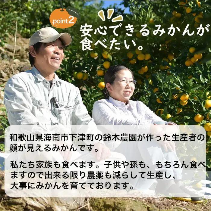 訳あり みかん 蔵出しみかん 5kg 鈴木農園