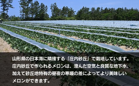 【令和6年産先行予約】お楽しみメロン３玉セット 2Lサイズ 山形県 庄内産 砂丘メロン 三昧 アンデスメロン・鶴姫メロン・鶴姫レッドメロン の中から3玉お届け 食べ比べ  JA鶴岡 A26-610