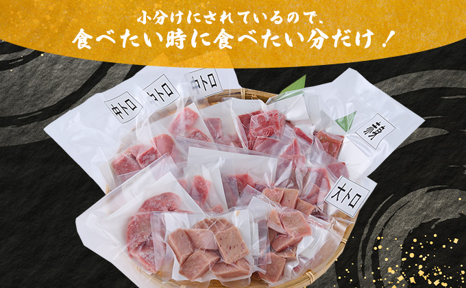 お刺身ちょこっとパック　食べ比べぼっちり１２パック＜高品質アイルランド産天然本マグロ赤身・中トロ・大トロ切り落とし＞
