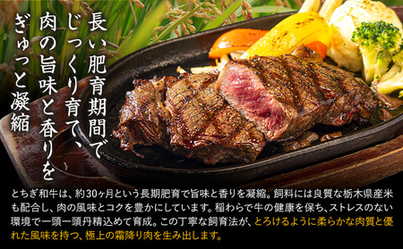 黒毛和牛 とちぎ和牛 厚切り サーロイン A4～A5等級 霜降り 赤身 ステーキ 極上 400g 数量限定 牛肉 冷凍 《30日以内に出荷予定(土日祝除く)》 冷凍庫 個別 以内 ブランド牛