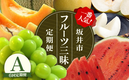 【先行予約】【定期便 6回コース】 坂井市フルーツ三昧！！ 旬のフルーツ定期便A【2025年6月上旬以降順次発送開始予定】 【フルーツ 新鮮フルーツ 旬のフルーツ 夏フルーツ 秋フルーツ 定期便 くだもの 果物】 [J-3215]