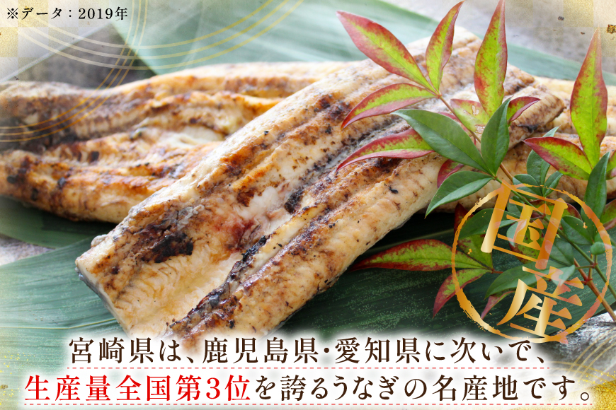 うなぎ 鰻 白焼き 1尾 たれ付き [オーチャンズ 宮崎県 美郷町 31bn0004] ウナギ 国産 蒲焼のたれ 付き タレ たれ 蒲焼 蒲焼き_イメージ4