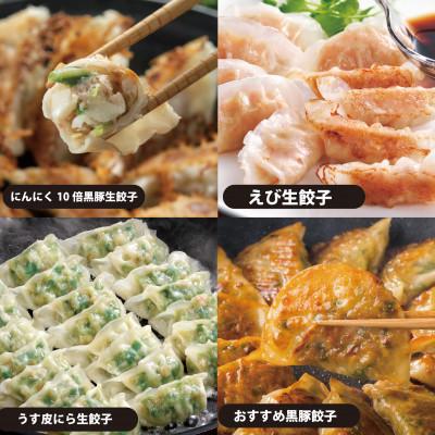 ふるさと納税 八代市 八代市東陽町の生姜を使った餃子の王国　餃子8種　詰合せ |  | 02