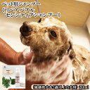 【ふるさと納税】ペット用シャンプー《リペアバブルセンシティブシャンプー》200ml (敏感肌犬＆7歳以上の犬用)　【11100-0718】