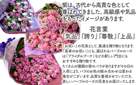 紫バラ70本