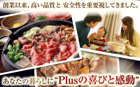 【A4〜A5】長崎和牛切り落とし　500g【株式会社 MEAT PLUS】[QBS005]