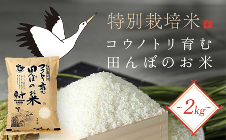 【令和6年度産新米】特別栽培米 コウノトリ育む田んぼのお米 2kg×1袋〈村上ファーム〉お米 おこめ 米 こめ コメ ご飯 ごはん 白米 2キロ 兵庫県 朝来市 AS1AB6