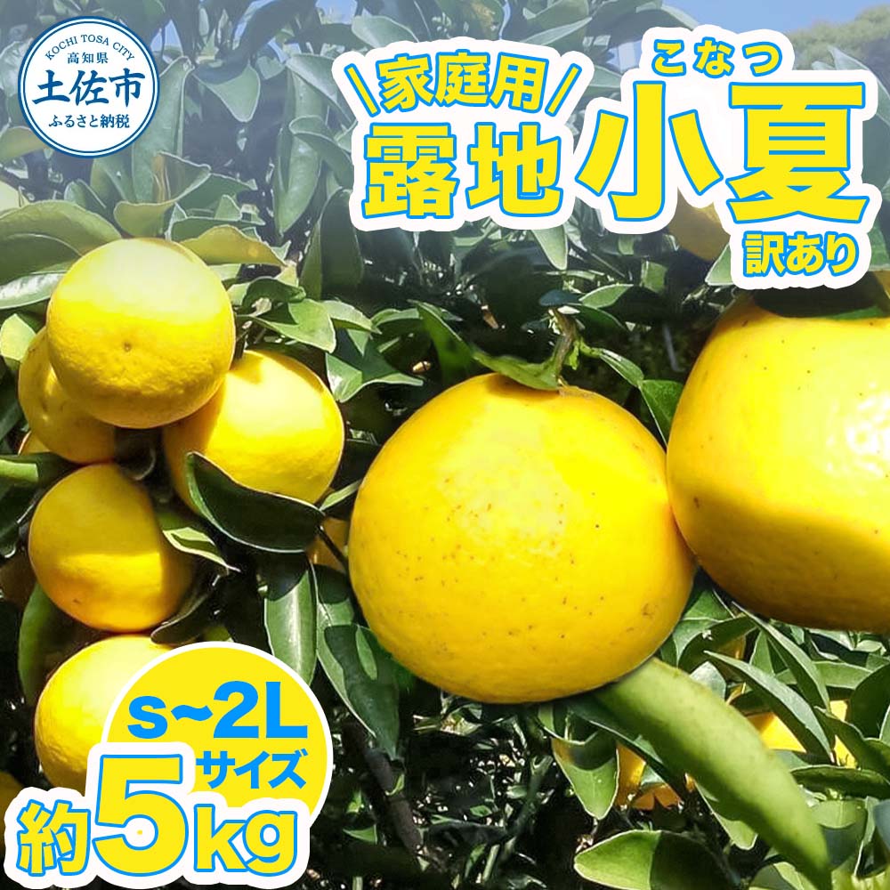 【ふるさと納税】訳あり 露地小夏 約5kg 小夏 家庭用 S~2Lサイズ /こなつ 糖度13度以上 5キロ フルーツ 果物 デザート 柑橘 お取り寄せ おいしい 美味しい 減農薬 ご自宅用【嬉龍】