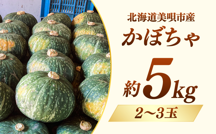 【先行予約/9月順次発送】北海道産 こだわりかぼちゃ 約5kg（2～3玉）| かぼちゃ カボチャ 北海道 野菜 南瓜 | つくしの子農園 [BOAJ001]