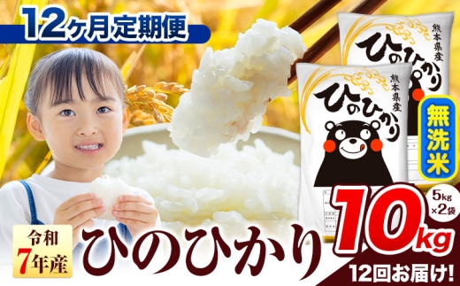 令和7年産 無洗米 【12ヶ月定期便】 ひのひかり 10kg《お申込み翌月から出荷》 熊本県産 無洗米 精米 氷川町 ひの 送料無料 ヒノヒカリ コメ 便利 ブランド米 お米 おこめ 熊本