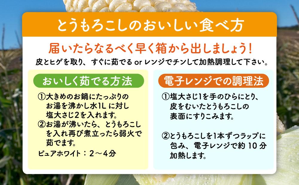 【2026年先行予約】白いとうもろこしピュアホワイト 12本 3.6kg(2026年8月下旬より発送予定) 【 人気 北海道産 糖度 生 野菜 スイートコーン 産地直送 バーベキュー BBQ コーン 