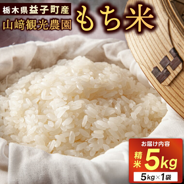 【ふるさと納税】山崎観光農園のもち米 5kg｜栃木県 益子町 ふるさと納税 もち米 もち 精米 5kg 令和7年産 (AU008)