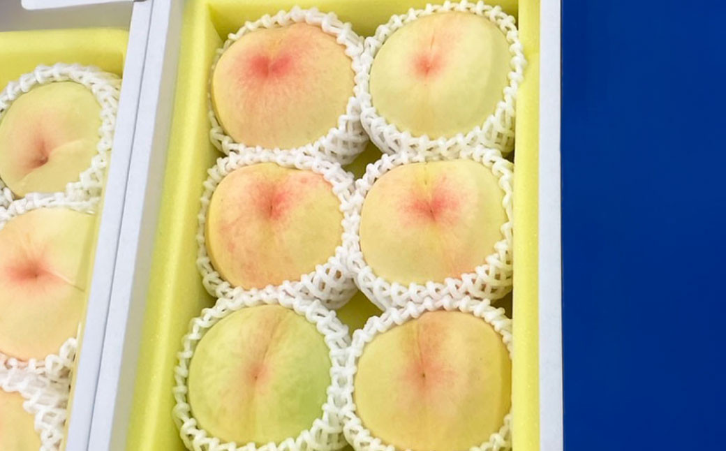 板野名人がつくる 岡山県産 清水白桃 《 贈答用 》 1箱［約1.4kg（5～6玉入）］