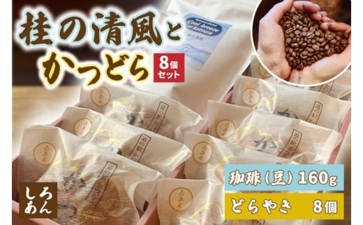 珈琲豆とかつどら8個【桂の清風/白あん】道の駅かつら どら焼き お取り寄せ (AF108)