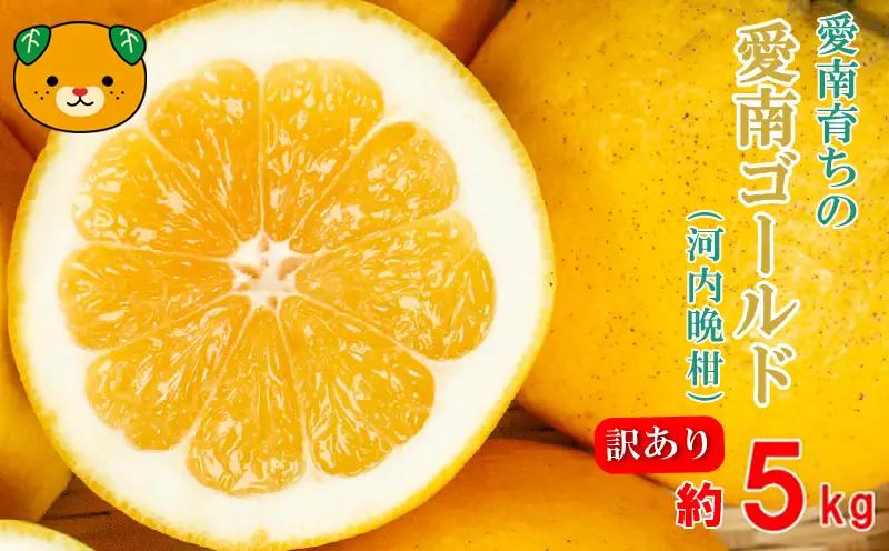 訳あり 愛南ゴールド（河内晩柑) 5kg 柑橘 愛南ゴールド 青果市場