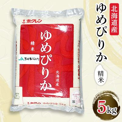 ふるさと納税 平取町 【令和7年産】【北海道最上級ブランド米】「ゆめぴりか」5kg
