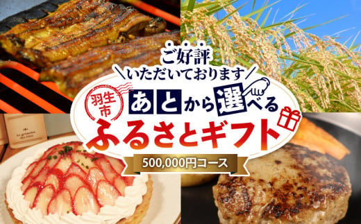 あとから選べる ふるさとギフト 50万円 米 精米 玄米 ご飯 ハンバーグ スイーツ ケーキ いちご 苺 野菜 アイス 定期便 ウイスキー 酒 豚肉 選べる カタログ ギフト 埼玉県 羽生市