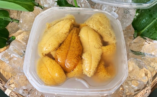 《数量限定》北海道福島町　キタムラサキウニ　塩水ウニパック　100×2パック FKF001 