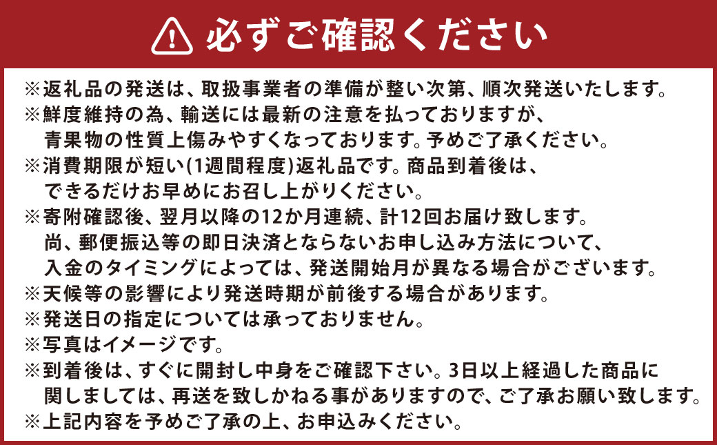 【12ヶ月定期便】熊本県フルーツ 12ヶ月定期便