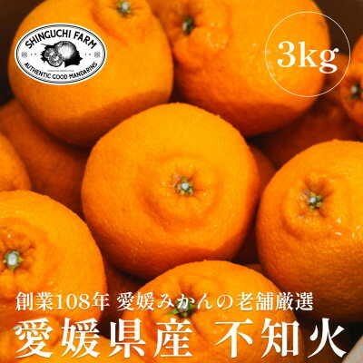 【ふるさと納税】創業百八年 愛媛みかんの老舗【不知火3kg】家庭用【新口農園】【C70-29】_ みかん ミカン 柑橘 フルーツ 果物 くだもの 青果 不知火 しらぬい シラヌイ 産地直送 産直 愛媛 甘い ジューシー 常温 家庭用 希少 名産地 木成り 完熟 【1470656】