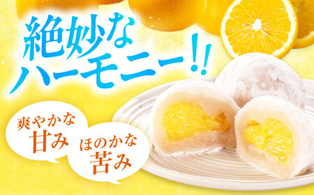 お菓子 はっさく大福8個入　 お菓子 大福 八朔 柑橘 みかん オレンジ 餅 ギフト お取り寄せ スイーツ フルーツ大福 ご当地 菓子 おかし デザート 食品 人気 おすすめ 広島県福山市/株式会社虎