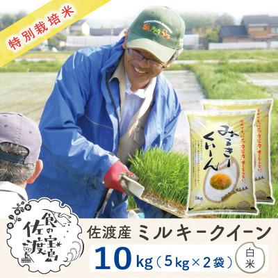 ふるさと納税 佐渡市 【新米予約】佐渡島産ミルキークイーン 白米10Kg(5Kg×2袋) 令和7年 特別栽培米
