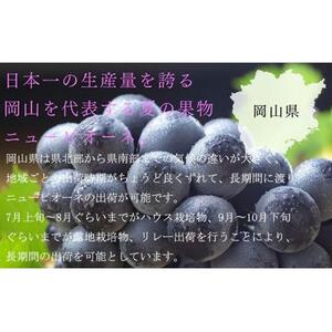 ニュー ピオーネ 3房～6房 約2kg ｜ ピオーネ