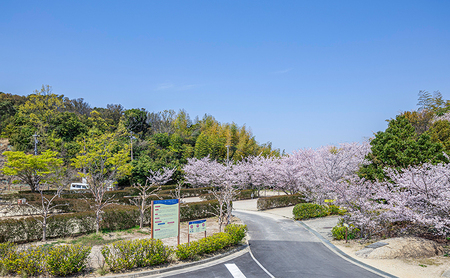 ウェルネスパーク五色 オートキャンプ場 宿泊券 キャンプ チケット 宿泊 旅行 兵庫県 洲本市 淡路島