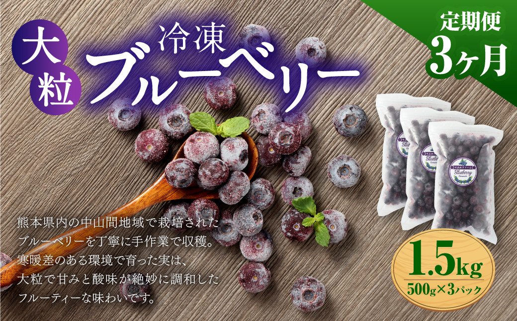 
                  【3か月連続定期便】 熊本県産 大粒 冷凍ブルーベリー 1.5kg（500g×3パック）×3回 合計4.5kg  フルーツ 果物 くだもの 冷凍 ブルーベリー 国産
                