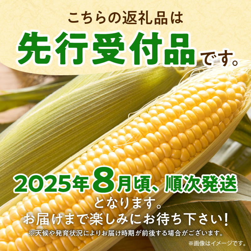 【令和7年産先行受付】生でも美味しい！ とうもろこし 「 サニーショコラ 」 10本（Lサイズ）【配送不可地域：沖縄・離島】