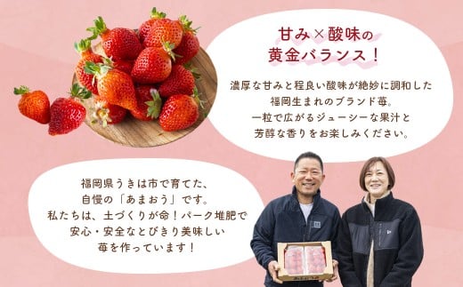 千年いちご あまおうイチゴ (300g×2パック) 2月お届け あまおう いちご イチゴ 苺 フルーツ 果物 冷蔵 送料無料 福岡県 うきは市 【2026年2月より順次発送予定】