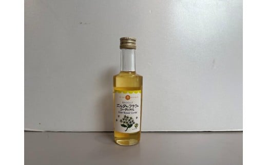エルダーフラワーコーディアル ｜エルダーフラワー コーディアル シロップ 希少 リラックス効果 塩尻市 長野県