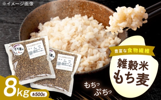 もち麦 内子町産もち麦8kg ／  国産 雑穀米 もち麦 モチ麦 もちむぎ モチムギ ごはん 米 ぷちぷち ご飯 お米 白米 おいしい 穀物 大麦 食物繊維 βグルカン 健康 雑穀 ダイシモチ 愛媛 内子町 ふるさと納税 お取り寄せ ギフト 特産品 四国 返礼品 愛媛県 内子 お礼 産地直送 贈り物 おすすめ 送料無料 【株式会社内子フレッシュパークからり】 [BKAD015]