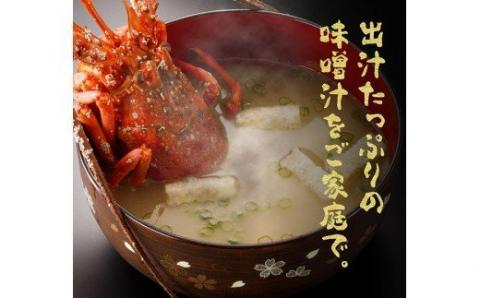 伊勢海老1kg（2～4尾）【魚介類 えび 伊勢えび イセエビ】[C01701]