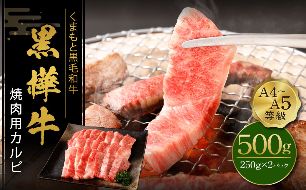 
くまもと黒毛和牛 黒樺牛 A4~A5等級 焼肉用 カルビ 250g×2 計500g
