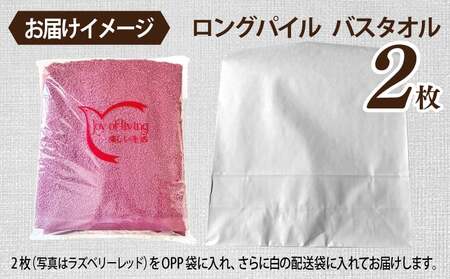 【スピード発送】ロングパイルバスタオル2枚セット(コカブラウン) 泉州タオル
