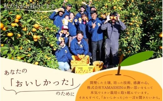 【2026年10月発送予約分】みかん 【家庭用】こだわりの有田みかん 約4kg＋250g(傷み補償分) ※サイズ混合※北海道・沖縄・離島配送不可 ＼光センサー選別／ 【農家直送】 有機質肥料100% 