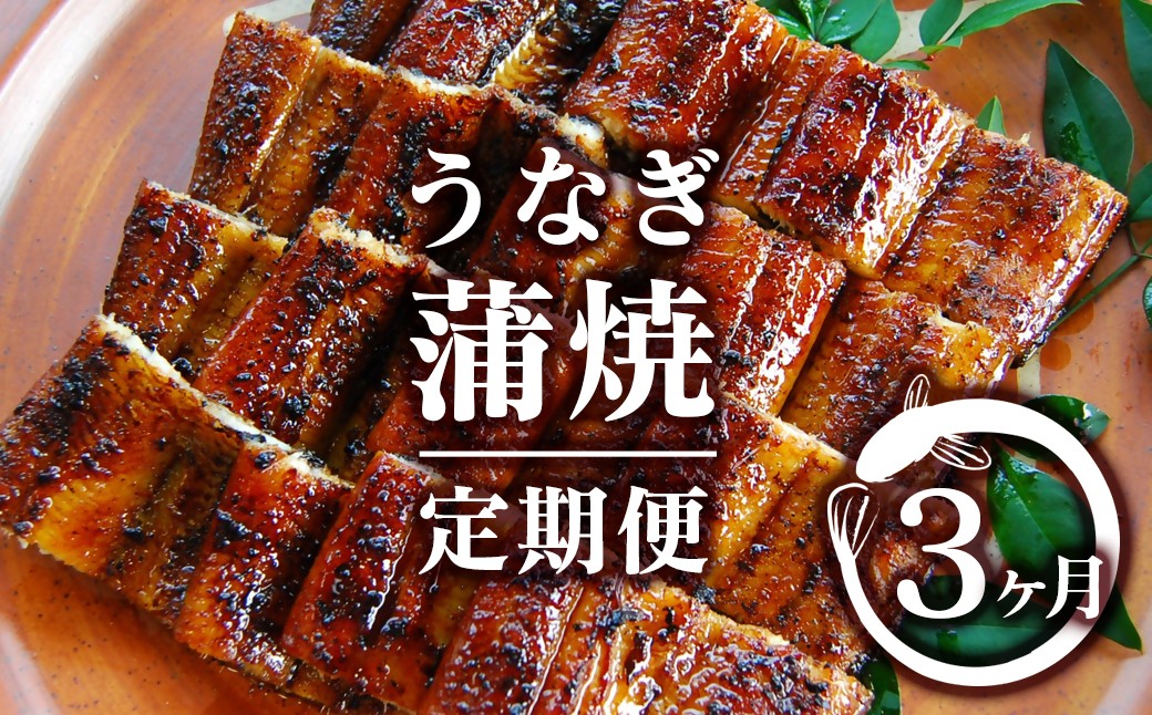 
                  西都市うなぎ名店巡り 3ヶ月定期便（1月〜3月お届け）備長炭手焼き 熟成たれ付  蒲焼 鰻 宮崎 かば焼 鰻 宮崎県産 鹿児島県産 国産 ウナギ うなぎ＜1-13a＞ 
                