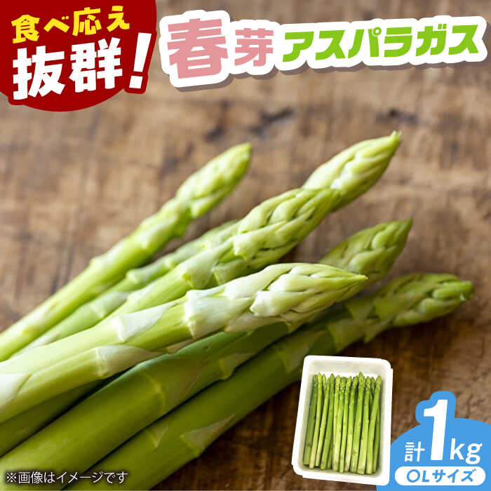【ふるさと納税】【2026年発送分 先行予約】春芽 アスパラガス 計1kg（〇Lサイズ） / アスパラ アスパラガス 野菜 新鮮 / 佐賀県 / さが風土館季楽 [41AABE103]