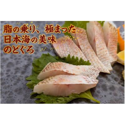 ふるさと納税 香美町 山陰沖 お刺身用あぶりノドグロ 2パック 高級魚 アカムツ 生食用(冷凍) |  | 01