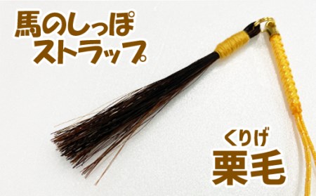 蹄鉄 （ 鉄製 ゴールド ）& 馬のしっぽの毛 ストラップ （ 栗毛 ） 【馬っこパーク・いわて】／ てい鉄 さび止め 錆止め サビ止め 金 金色 鉄 加工 馬毛 尻尾 幸運 開運 厄除け 魔除け ア