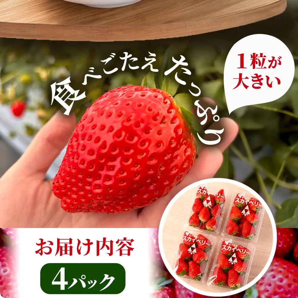 【先行予約】出会いの森いちご園 スカイベリー （290g×4パック） | いちご イチゴ 苺 栃木県 果物 くだもの フルーツ スカイベリー 新鮮 贈答 ギフト デザート スイーツ ※2026年12月
